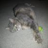 IMG_20110318_001823