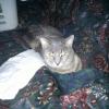 IMG_20110324_085647