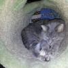 IMG_20130505_015808