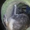 IMG_20130612_001618