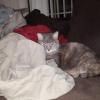 20150520_004416