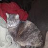 20150520_004437
