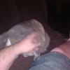 IMG_20170711_213447335