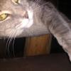 IMG_20180101_213926953