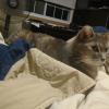 IMG_20180228_201353729