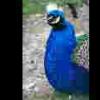 2006-04-06 - Myric Park Zoo