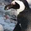 IMG_3849