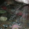 Tidal Pool