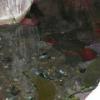 Tidal Pool