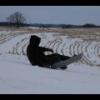 20161229115604_IMG_2976