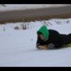 20161229123041_IMG_3029