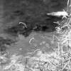 2021-07-03T14_43_00