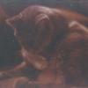 Roll 26