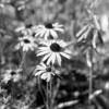 img08162021_176_stitch