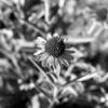 img08162021_178_stitch
