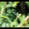IMG_3915