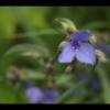 IMG_6647