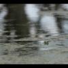 IMG_8028