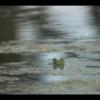 IMG_8029