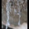 IMG_8351
