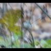 IMG_8355