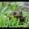 2021-07-03T16_23_08