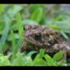 2021-07-03T16_24_01