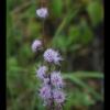 2021-09-04T15_56_57