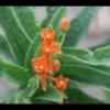 2021-09-04T16_02_29