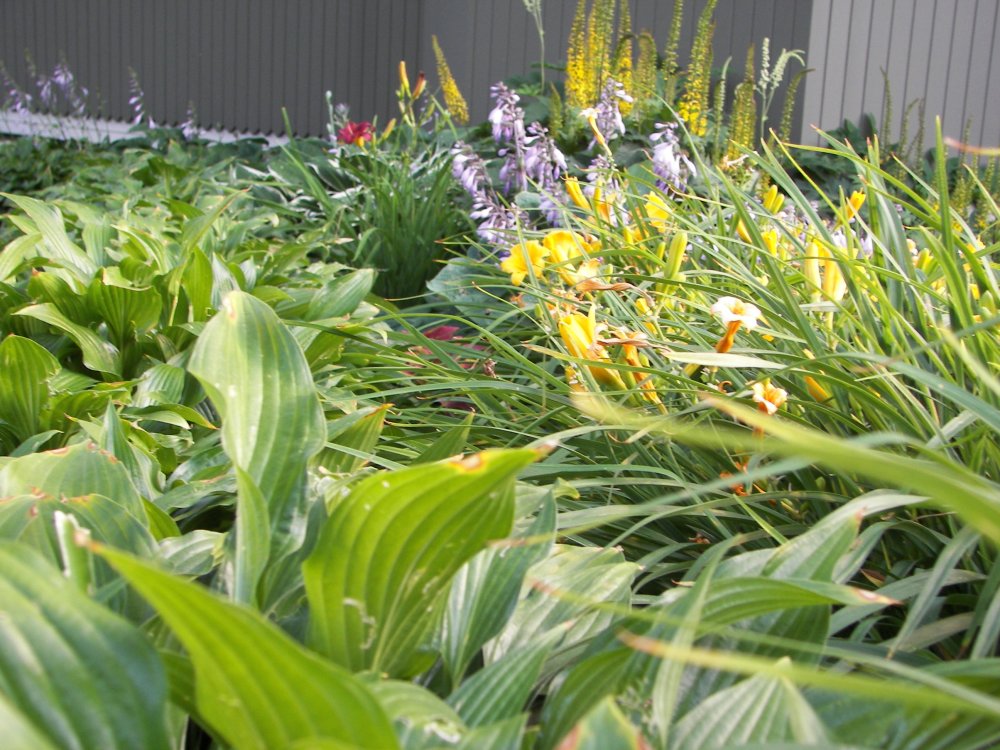 Loring Park Flower Bed