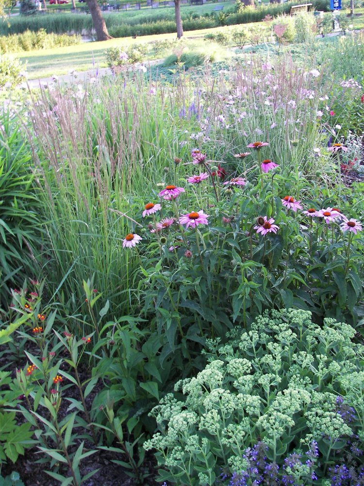 Loring Park Flower Bed