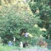 Loring Park