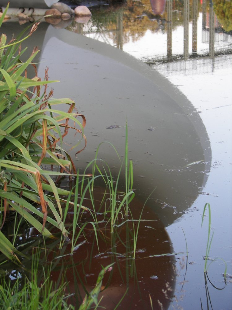 Spoonbridge and Cherry