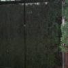 Two-Way Mirror Punched Steen Hedge Labyrinth