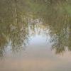 Forest Sunset reflected off of pond
