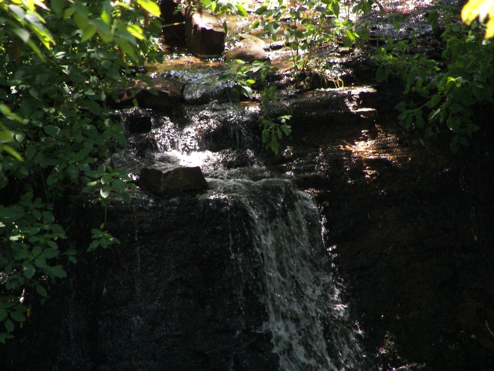 Sliverbrook Falls