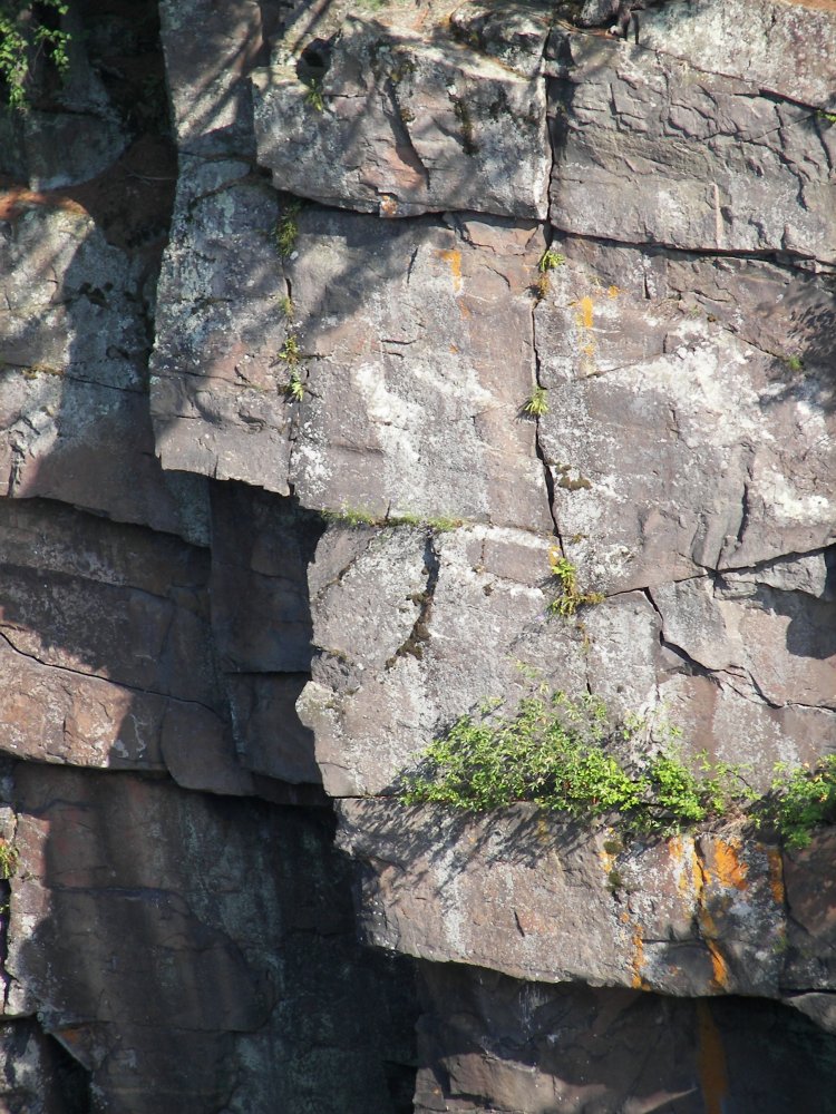 Face in the rocks?