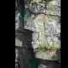 Face in the rocks?