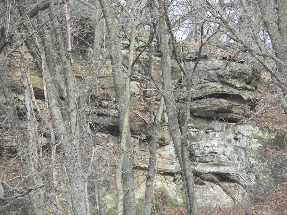 Rock Outcropping