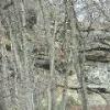 Rock Outcropping