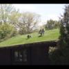 Goats on the Roof