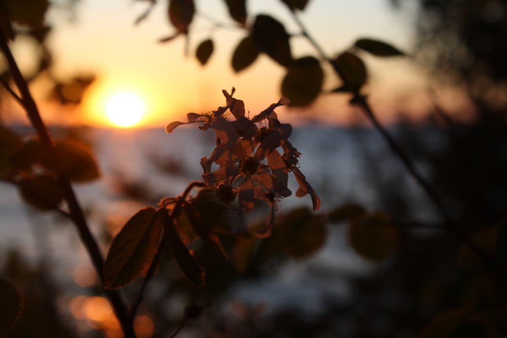 Sunset over Lake Michigan