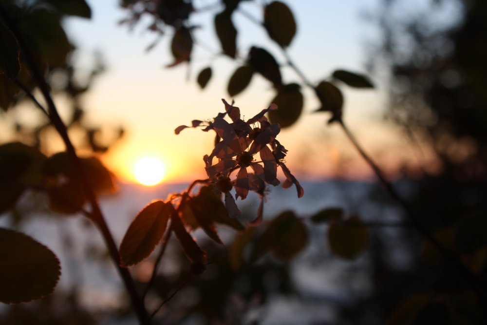 Sunset over Lake Michigan