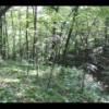 2009-09-12 - Hixon Forrest