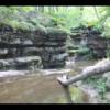2014-06-08 - Pewit's Nest
