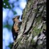 IMG_5665