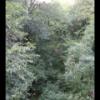 20150816170128_IMG_1206