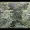 20150816170134_IMG_1207