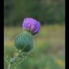 20150816173808_IMG_1210