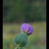 20150816173812_IMG_1211
